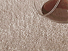 Treated Carpet