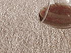 Untreated Carpet